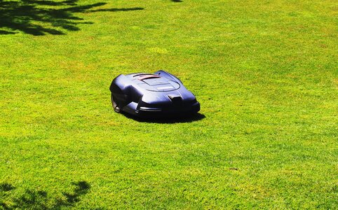 Lawn mower robot sunny