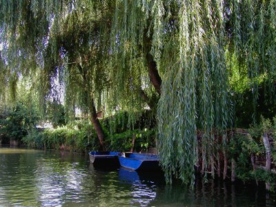 Water rest river