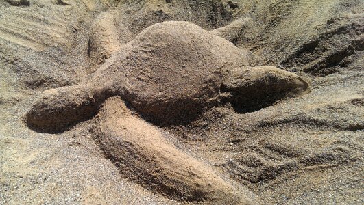 Sand sand sculptures beach