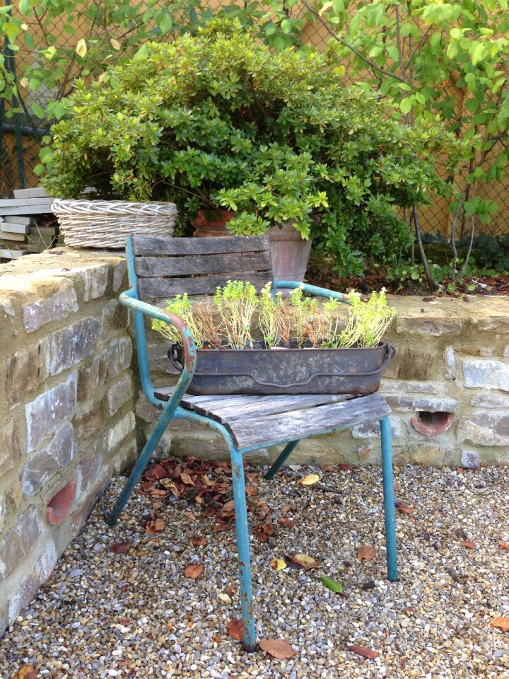 Vintage garden shabby