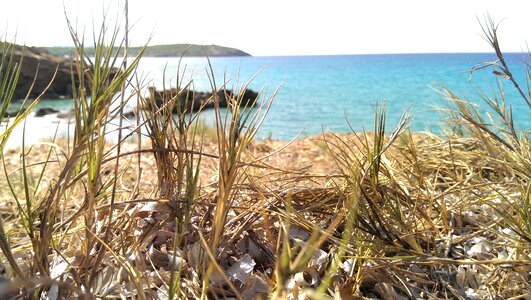 Peace summer sardinia