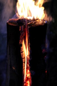 Embers wood wood fire