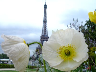 Eiffel tower flower tower
