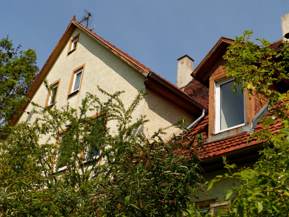 Building window roof