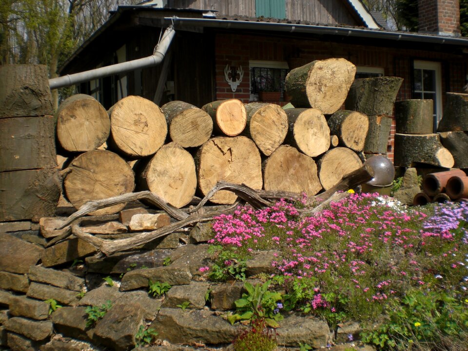 Timber holzstapel firewood