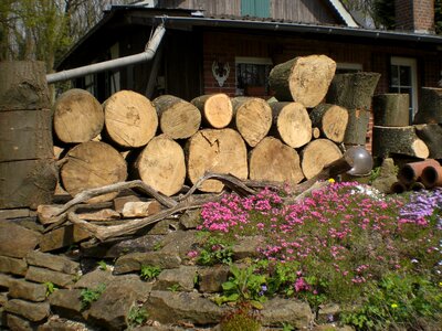 Timber holzstapel firewood photo