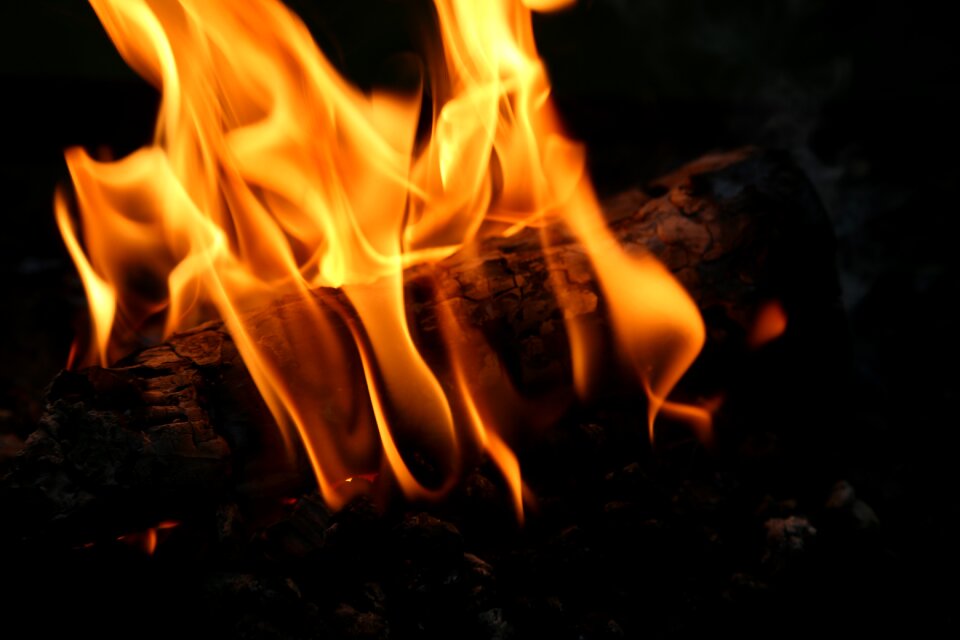Burn blaze wood fire