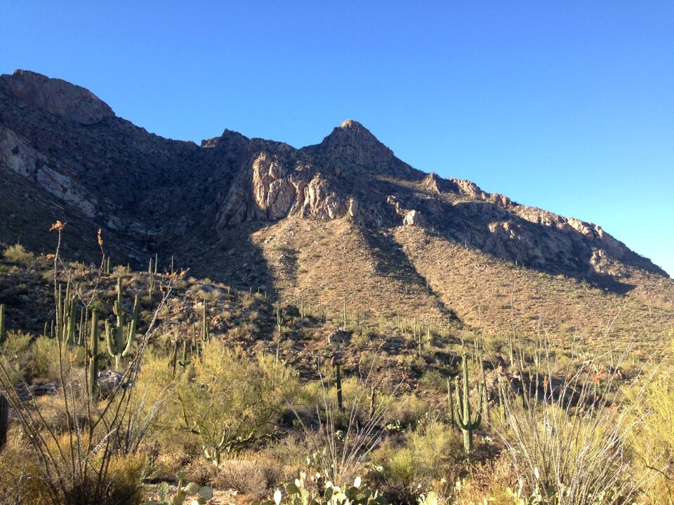 Mountain arizona