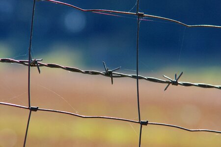 Thorn fence demarcation