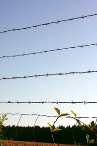 Fence iron risk photo