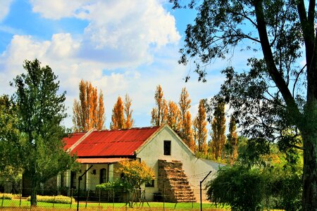 Home trees