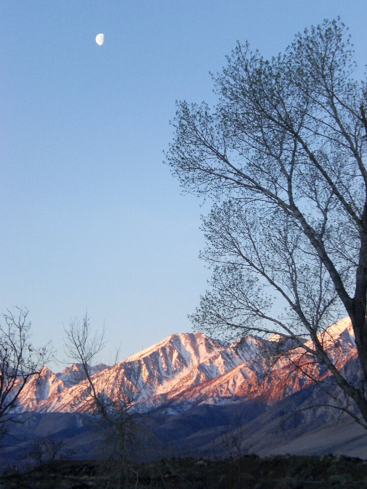 Snow peaks