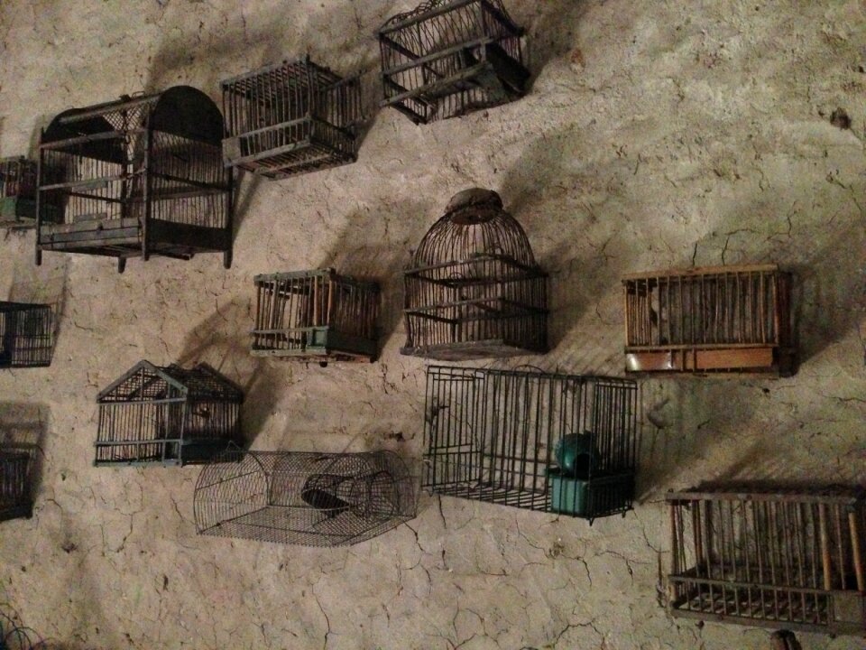 Cages collection wall