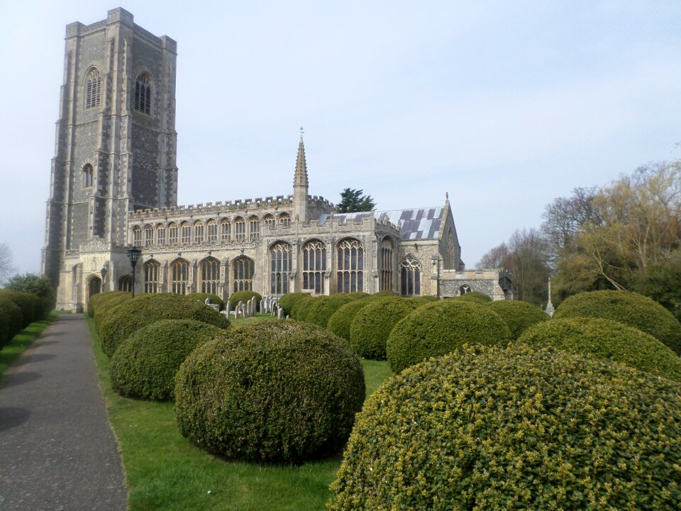 Yews topiary photo