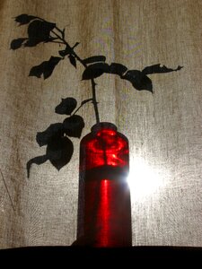 Light shadow veiled