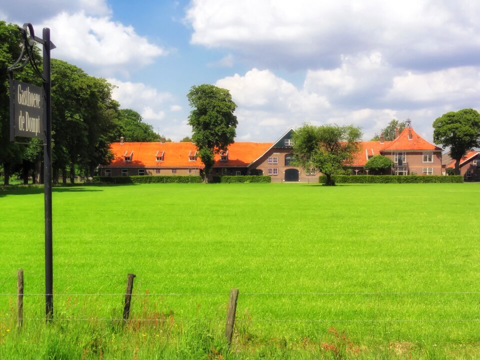 Sky clouds field