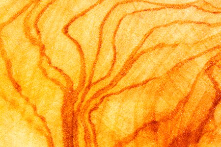 Cutting board structure natural