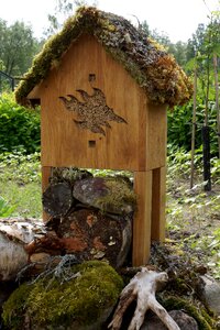 Hyönteishotelli insects nesting adding insects