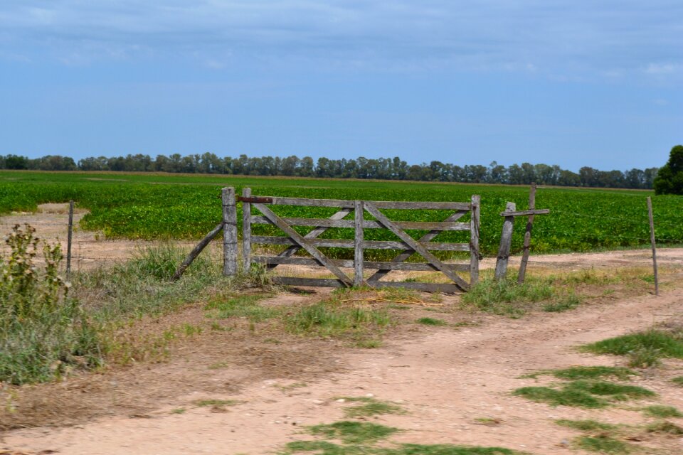 Gate wood nature
