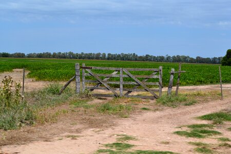 Gate wood nature
