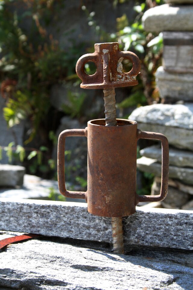 Rusty males standing
