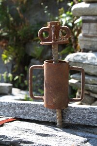 Rusty males standing