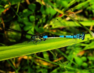 Couple connectedness light blue photo