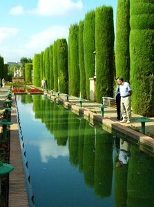 Vegetation trees gardens