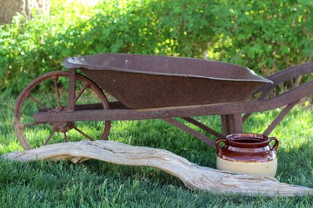 Green rustic grass