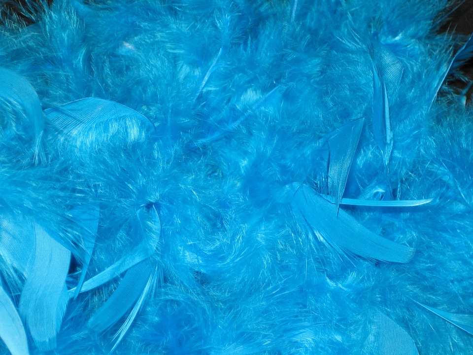 Perlon carnival panel