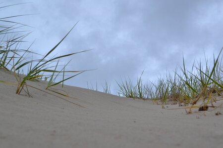 Sand nature