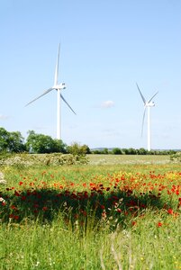 Environmentally friendly meadow scenery