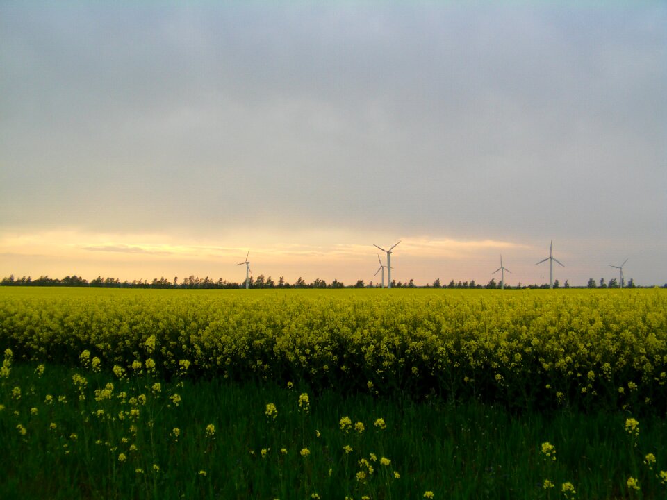 Windmills northern germany landscape