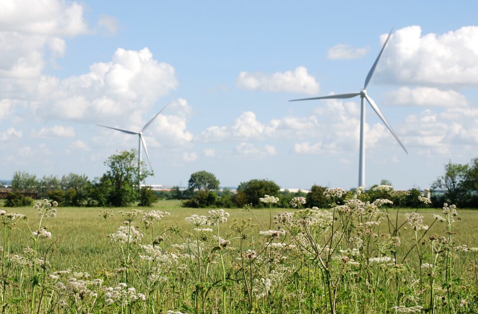Environmentally friendly meadow scenery