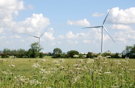 Environmentally friendly meadow scenery