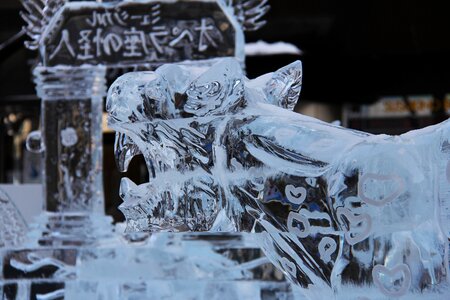Ice ice sculpture winter