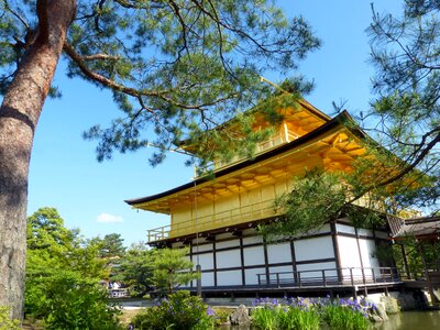 Golden pavilion shrine historic site photo
