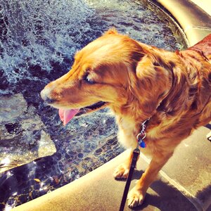 Water fountain