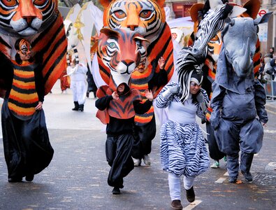 Parade face cat face