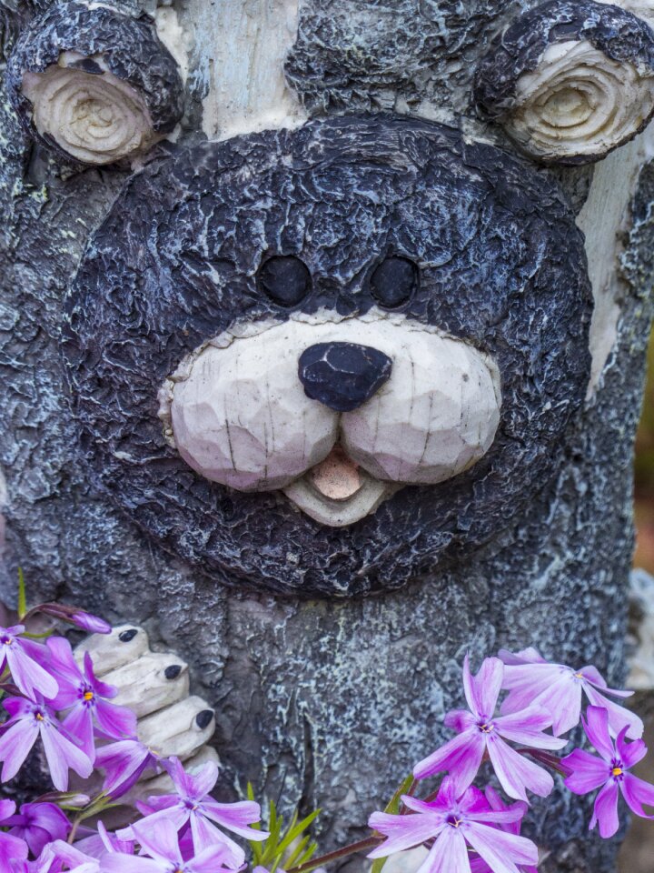 Decoration flowers summer