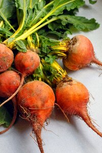 Yellow beets garden food