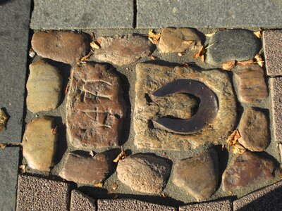 Hoofprints horse traces