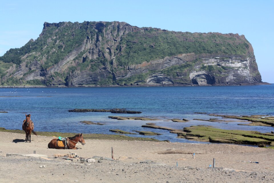 Jeju island landscape sea