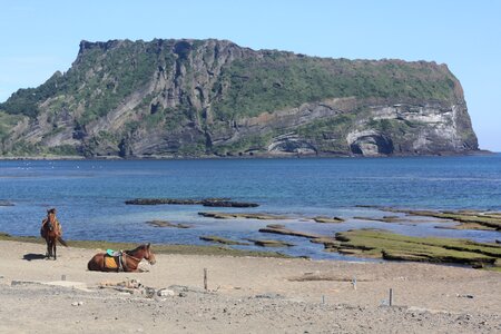 Jeju island landscape sea photo