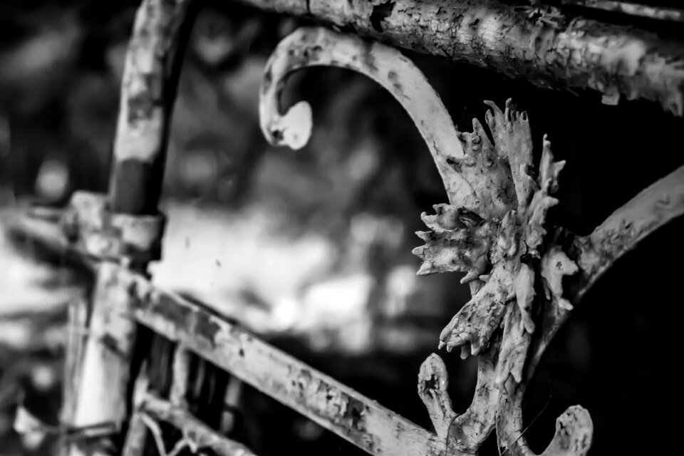 Metal rust out of date