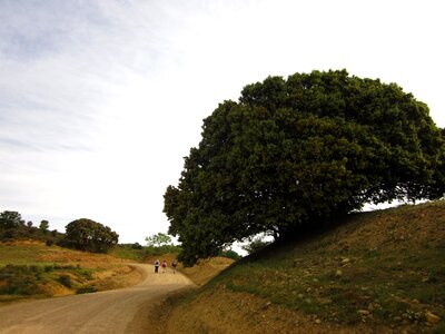 Path san salvador carbajal