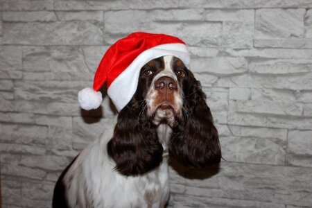 Christmas santa claus cap