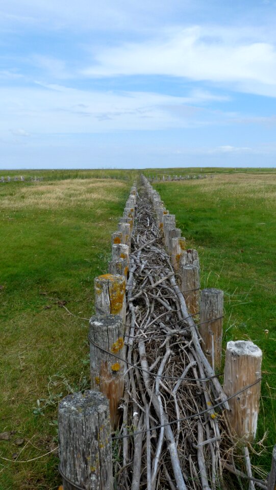 Dune fixing fence