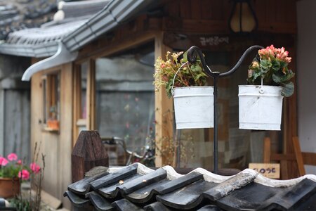 Traditional building houses flowers