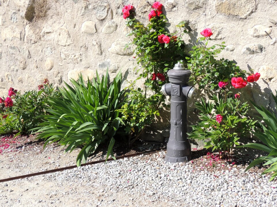 Flowers wall fire